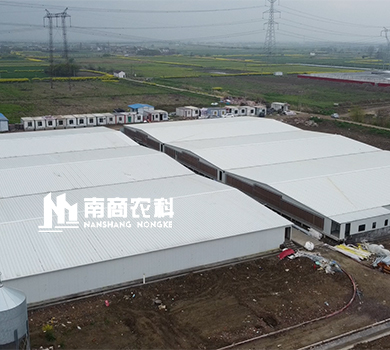 南商農(nóng)科：江蘇常州規(guī)模70000頭育肥豬場