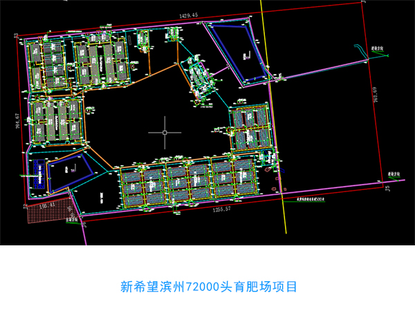 萬頭規(guī)?；署B(yǎng)豬場(chǎng)設(shè)計(jì)圖