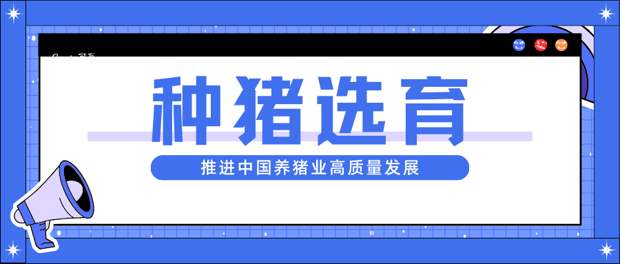 種豬選育：推進(jìn)中國養(yǎng)豬業(yè)高質(zhì)量發(fā)展