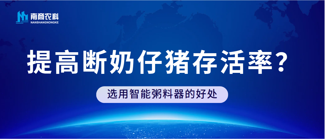 如何提高斷奶仔豬存活率？選用智能粥料器的好處